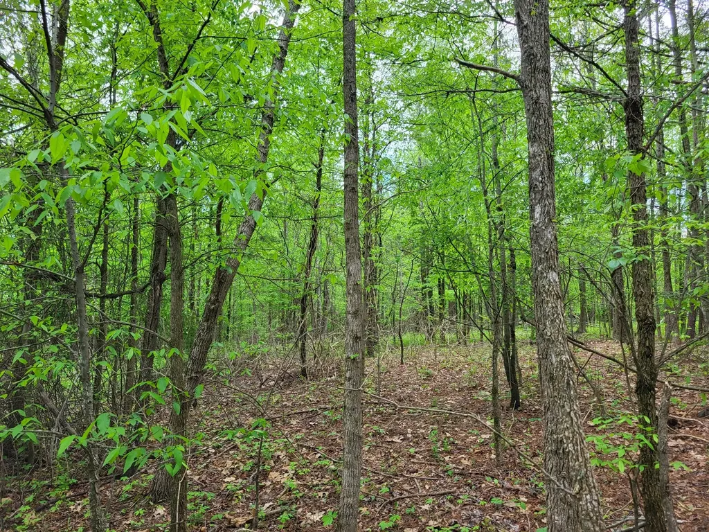 565 Valley Loop Pikeville TN 37367
