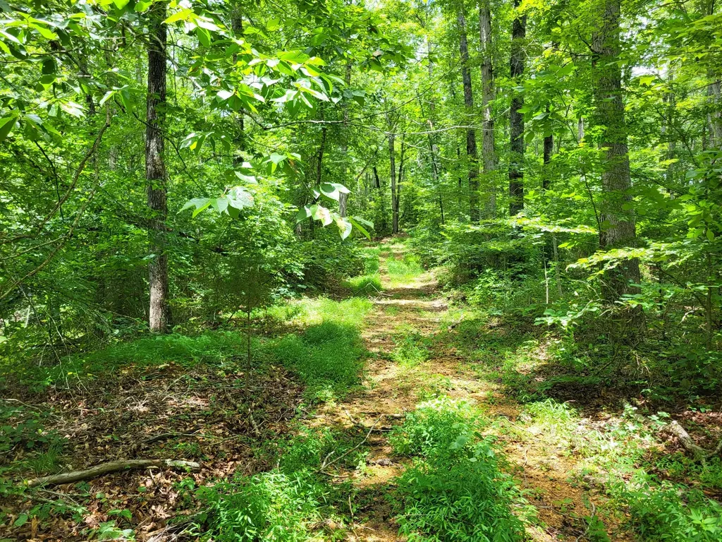565 Valley Loop Pikeville TN 37367
