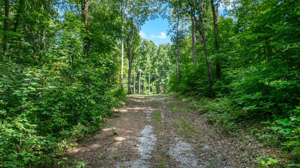 0 Coconut Ridge Road Smithville TN 37166