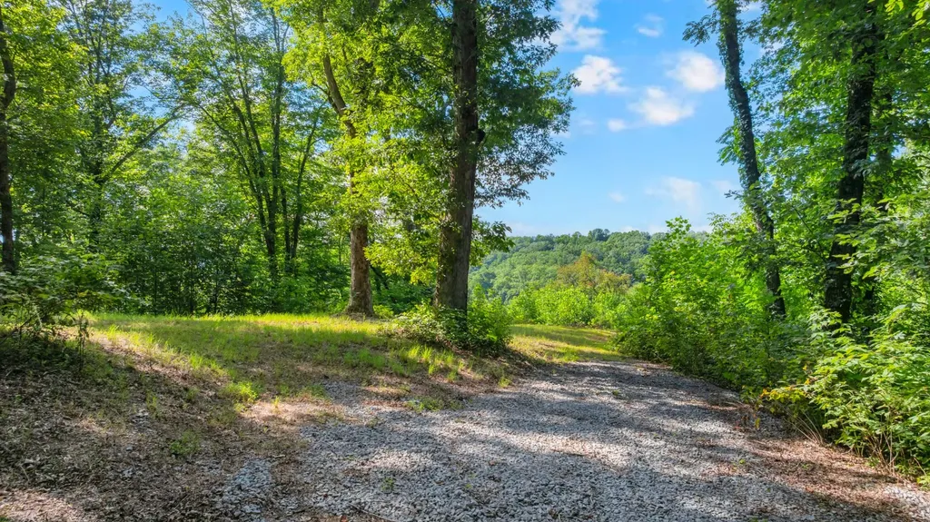0 Coconut Ridge Road Smithville TN 37166