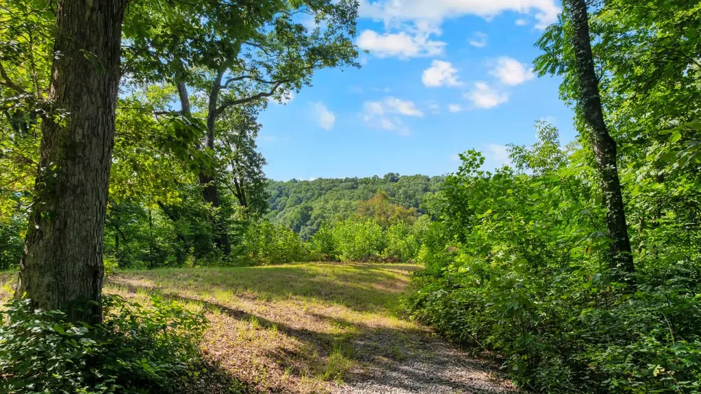 0 Coconut Ridge Road Smithville TN 37166