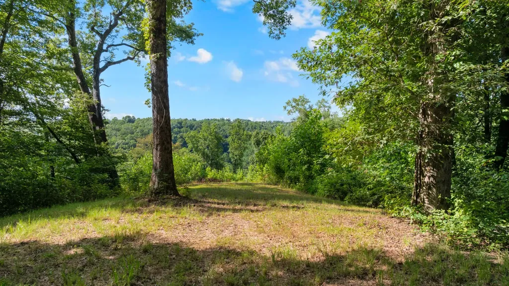 0 Coconut Ridge Road Smithville TN 37166