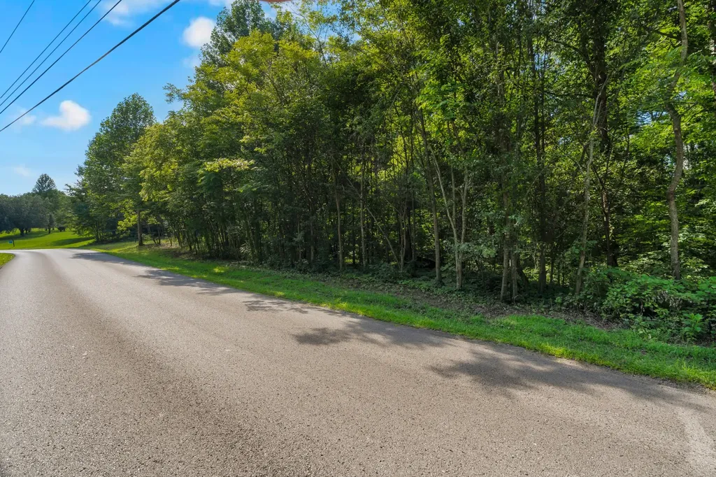 0 Coconut Ridge Road Smithville TN 37166
