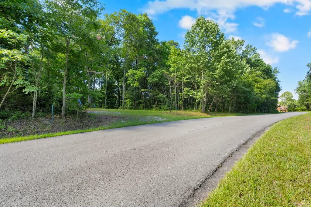 0 Coconut Ridge Road Smithville TN 37166
