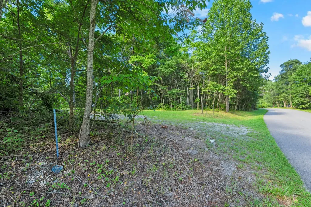 0 Coconut Ridge Road Smithville TN 37166