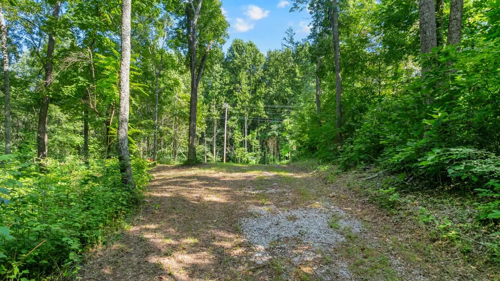 0 Coconut Ridge Road Smithville TN 37166