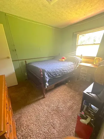 205 Locust Drive Erin TN 37061