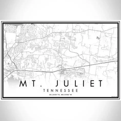 1202 Sydney Terrace Mount Juliet TN 37122