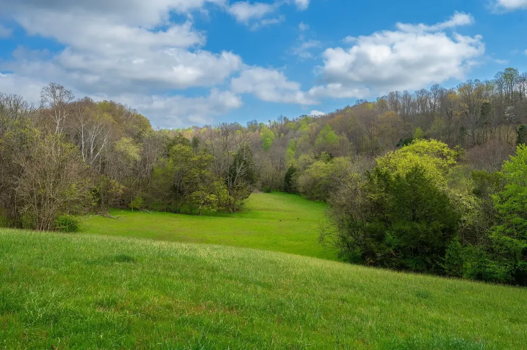 2882 Yokley Road Lynnville TN 38472