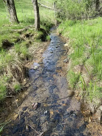 2882 Yokley Road Lynnville TN 38472