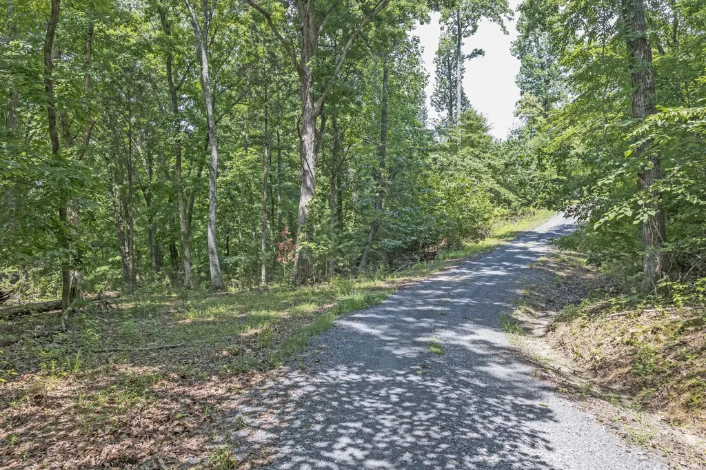 0 Half Moon Circle Spring City TN 37381