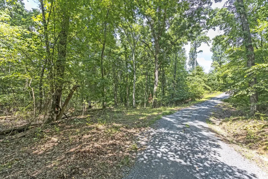 0 Half Moon Circle Spring City TN 37381