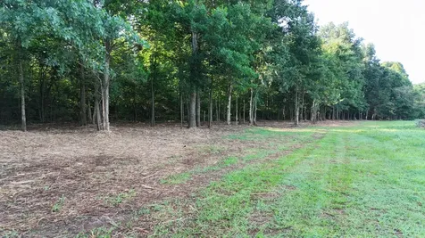 161 Hopkins Bridge Road Unionville TN 37180
