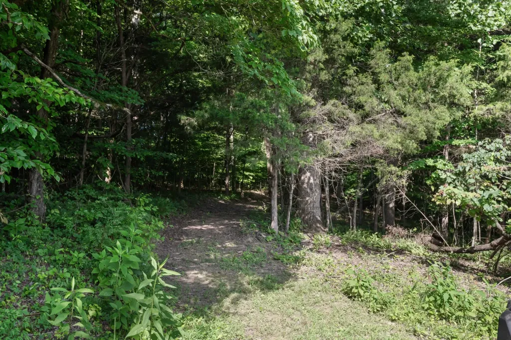 1025 Choate Road Dickson TN 37055