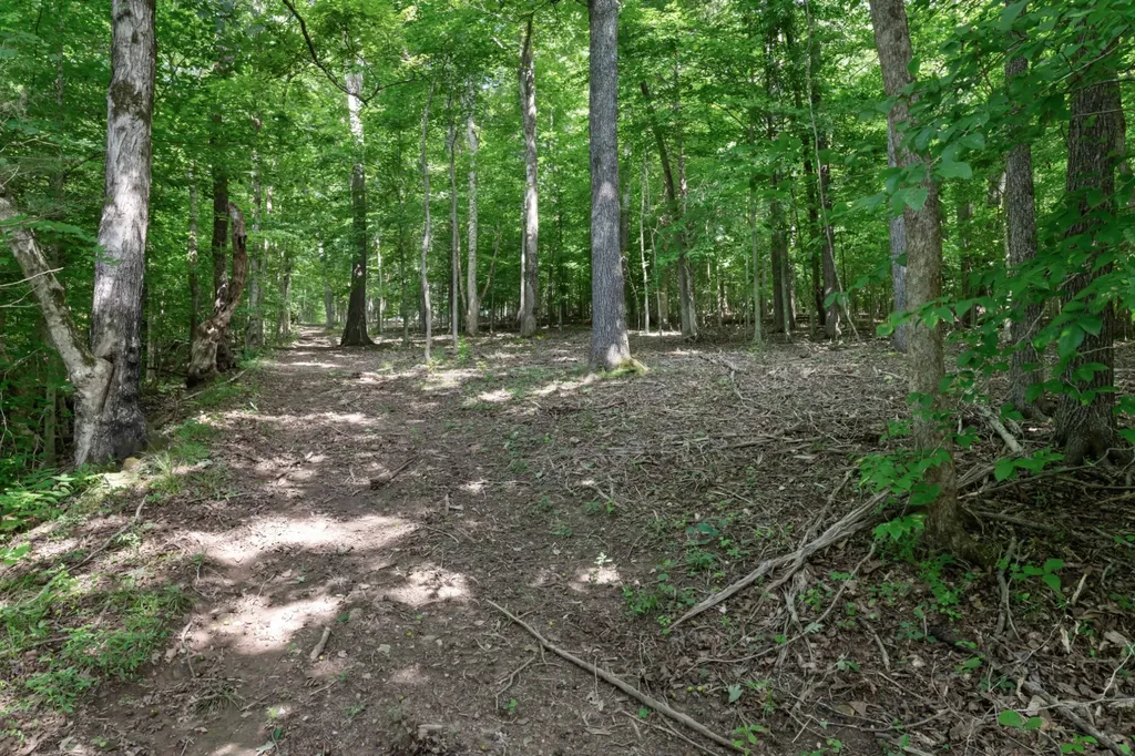 1025 Choate Road Dickson TN 37055