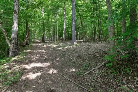 1025 Choate Road Dickson TN 37055