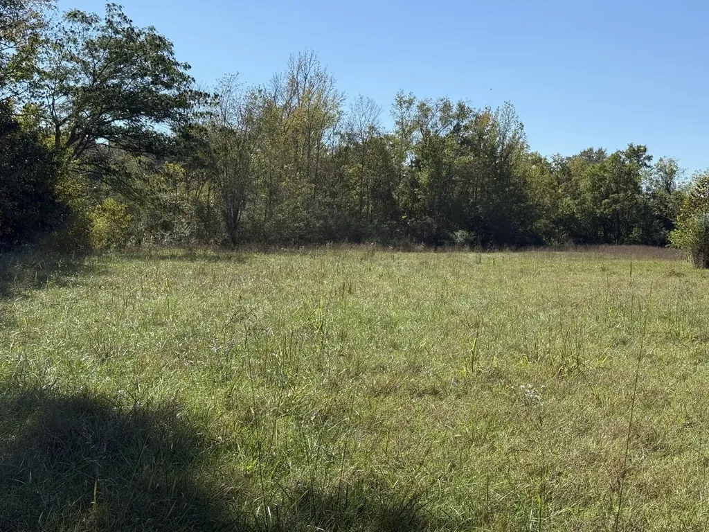 0 Hwy 70 E Waverly TN 37185