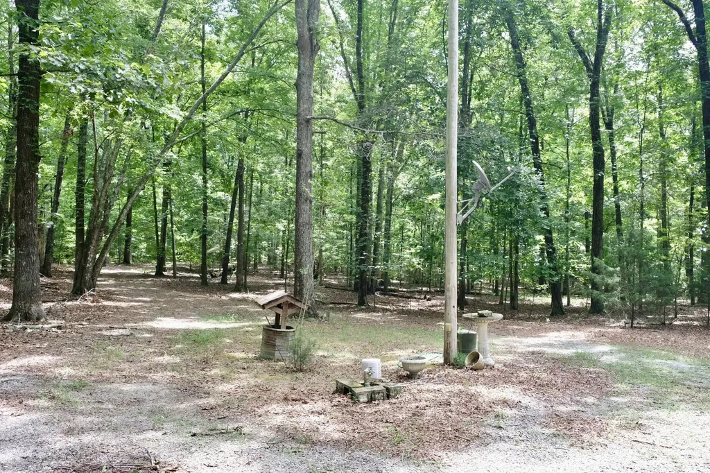 756 Ewing Cemetery Road Spring City TN 37381