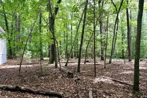 756 Ewing Cemetery Road Spring City TN 37381