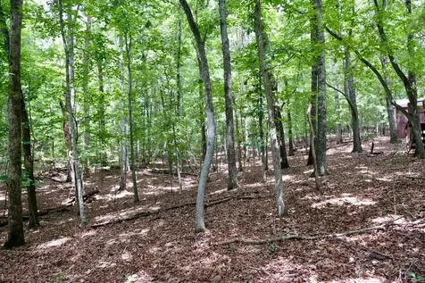 756 Ewing Cemetery Road Spring City TN 37381