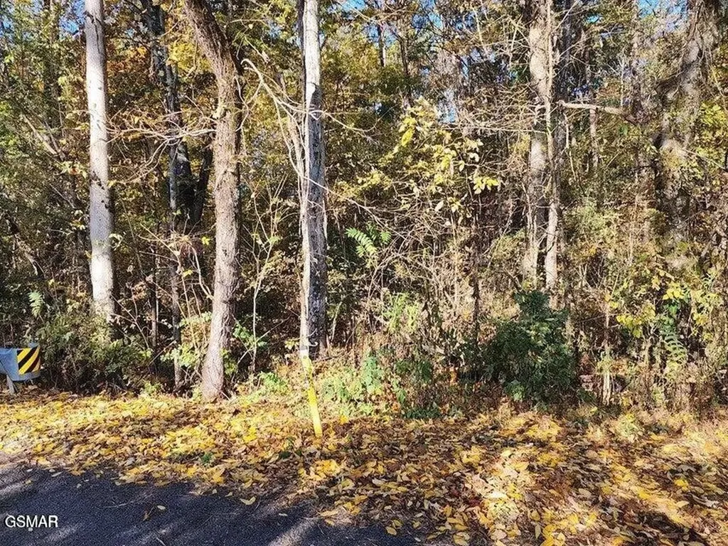 0 Briggs Road Dandridge TN 37725