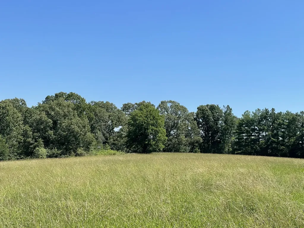 9533 Buttermilk Ridge Road Lawrenceburg TN 38464