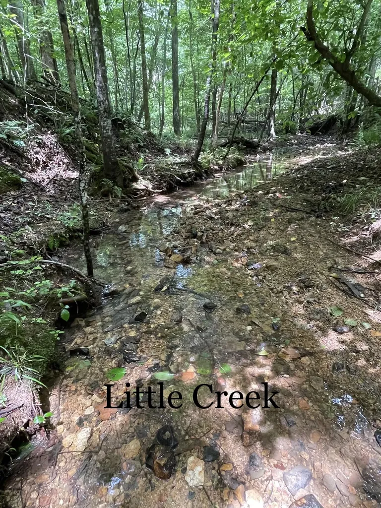 9533 Buttermilk Ridge Road Lawrenceburg TN 38464