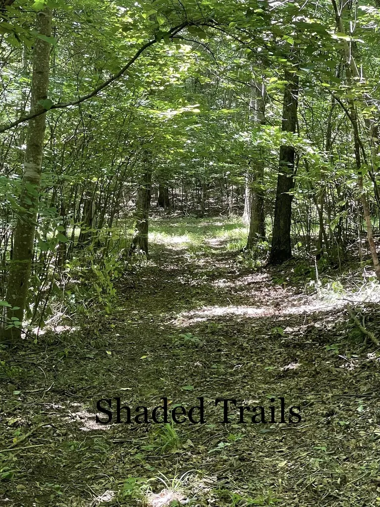 9533 Buttermilk Ridge Road Lawrenceburg TN 38464