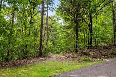 96 Quail Lane Camden TN 38320