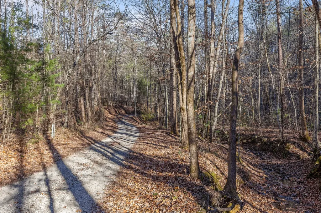 310 Rural Vale Road Tellico Plains TN 37385