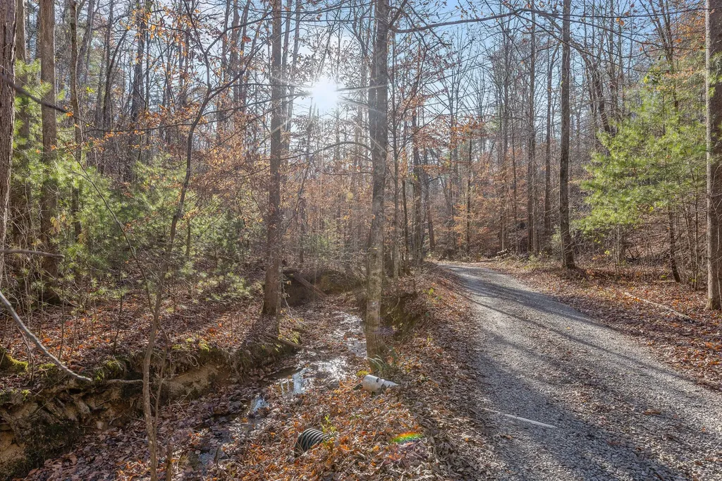 310 Rural Vale Road Tellico Plains TN 37385