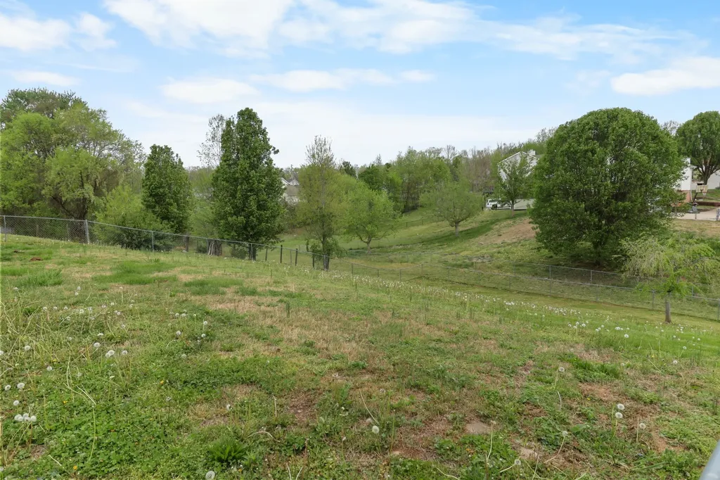 934 Hedge Apple Drive Clarksville TN 37040