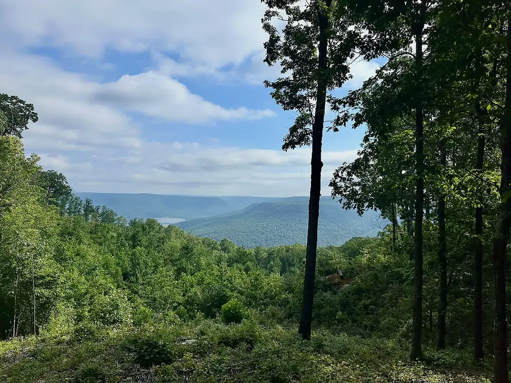5370 River Bend Road Guild TN 37340