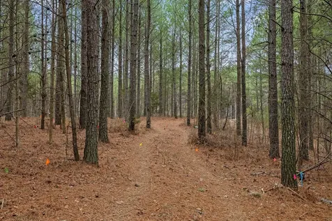 5370 River Bend Road Guild TN 37340