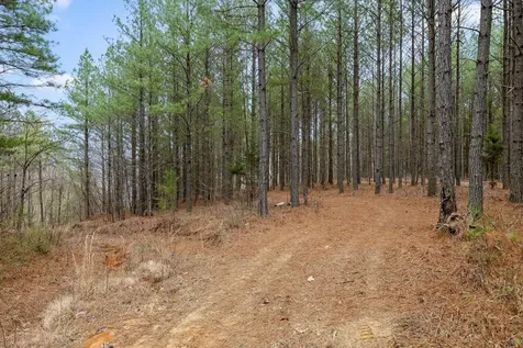 5370 River Bend Road Guild TN 37340