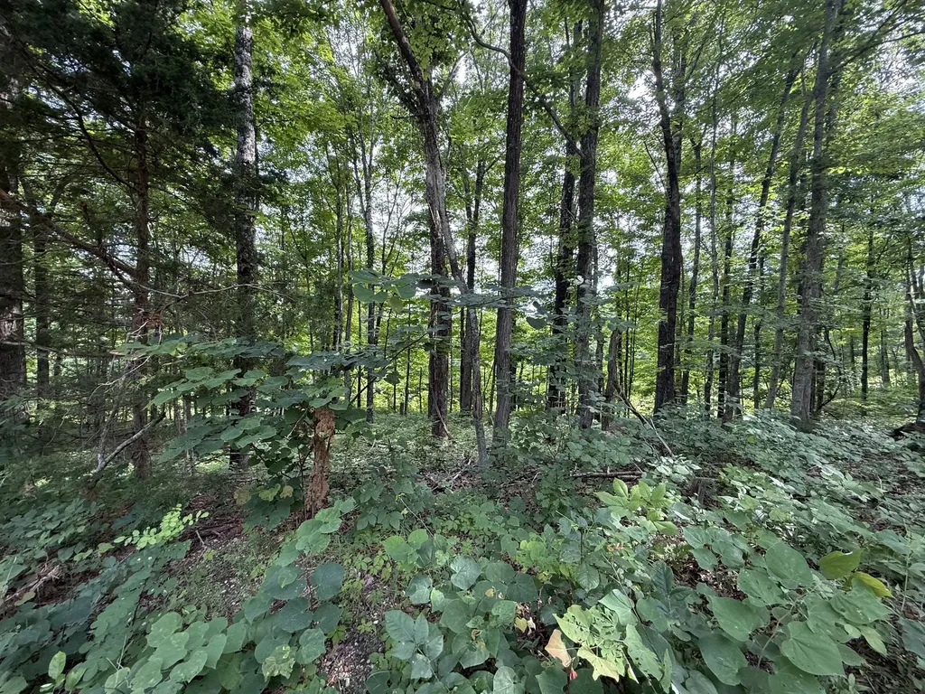 0 Rocky Point Road Cookeville TN 38506