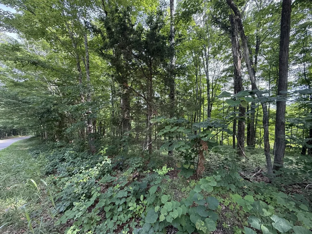 0 Rocky Point Road Cookeville TN 38506