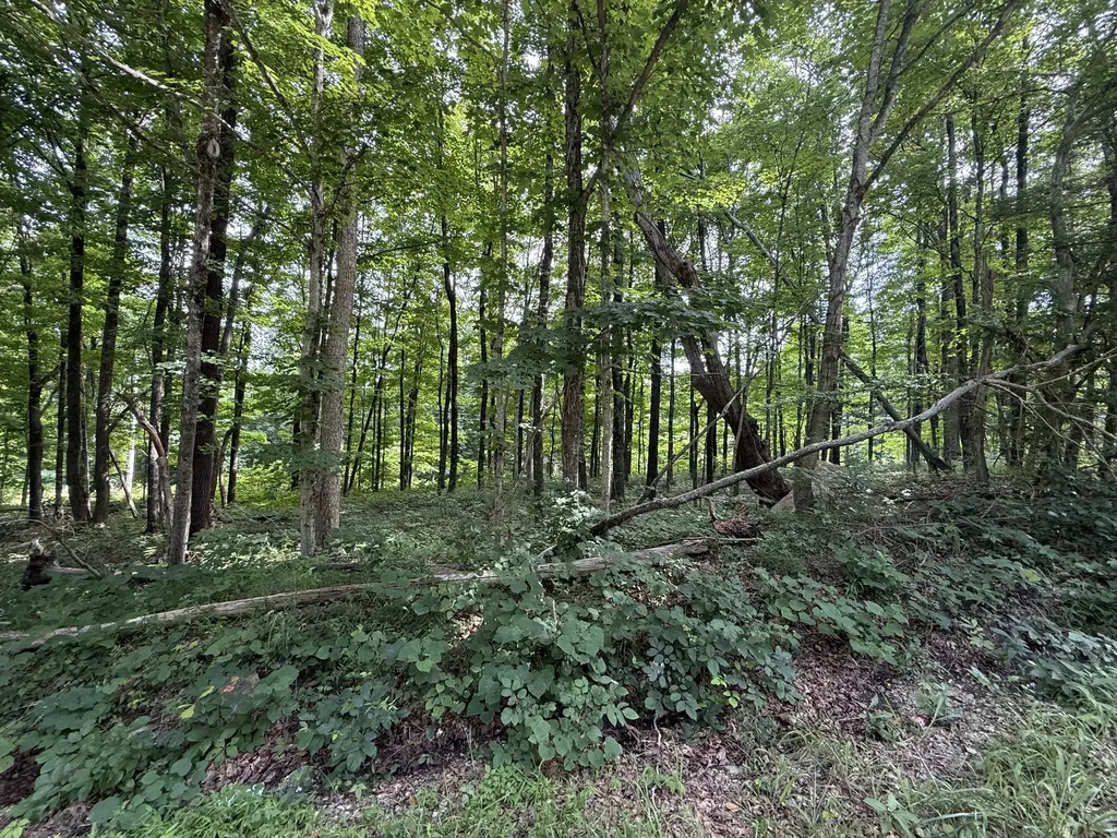 0 Rocky Point Road Cookeville TN 38506