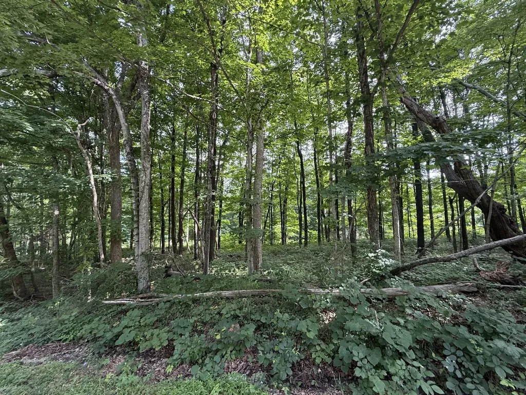 0 Rocky Point Road Cookeville TN 38506