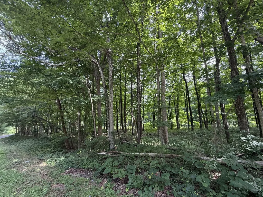 0 Rocky Point Road Cookeville TN 38506