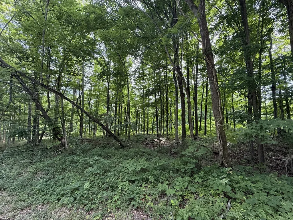 0 Rocky Point Road Cookeville TN 38506