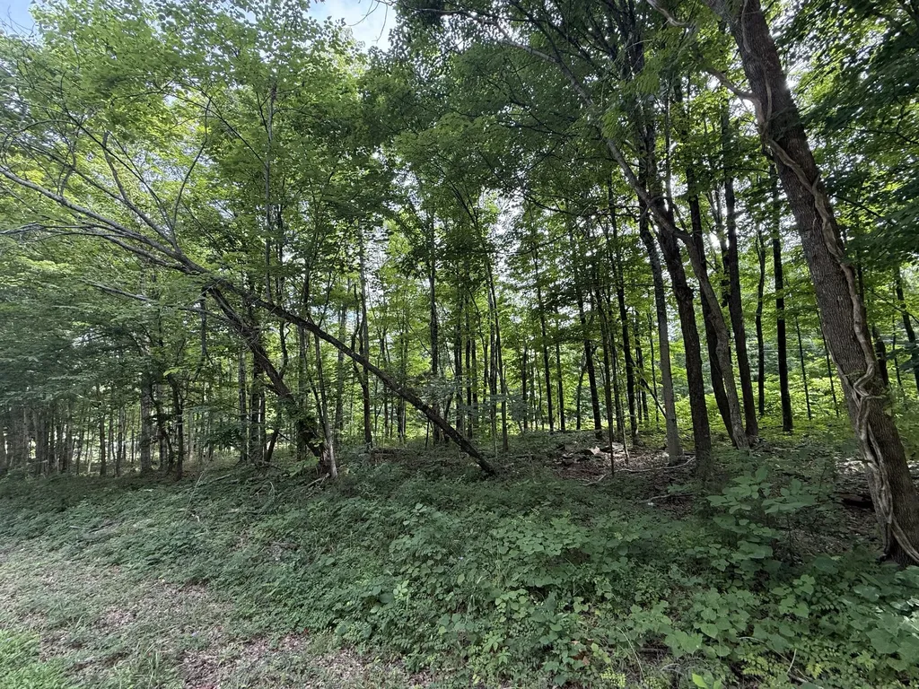0 Rocky Point Road Cookeville TN 38506