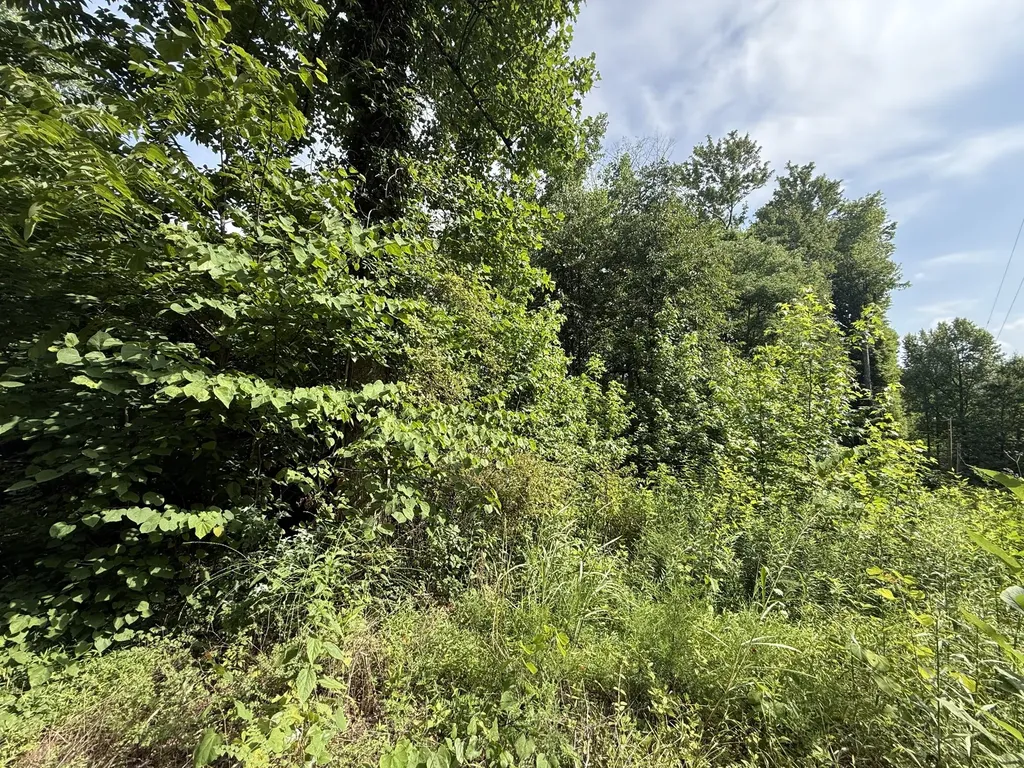 0 Rocky Point Road Cookeville TN 38506