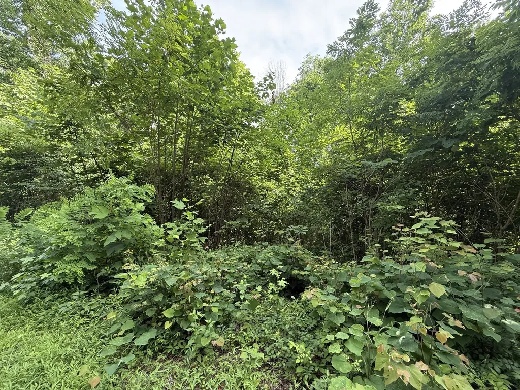 0 Rocky Point Road Cookeville TN 38506