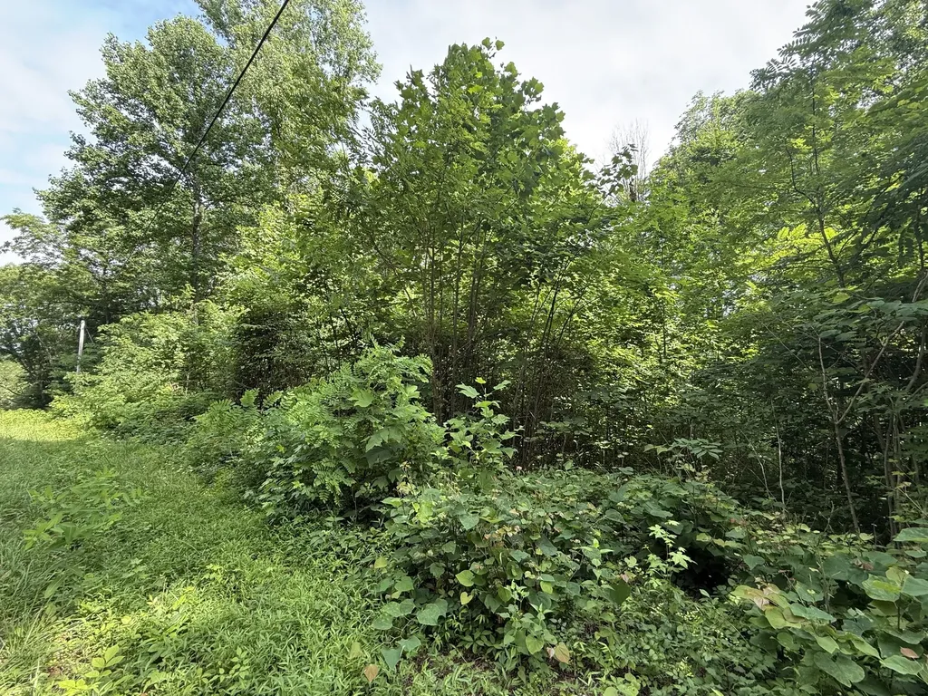 0 Rocky Point Road Cookeville TN 38506