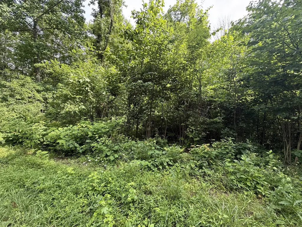 0 Rocky Point Road Cookeville TN 38506