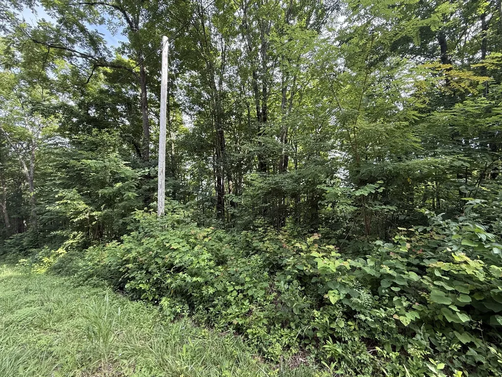 0 Rocky Point Road Cookeville TN 38506