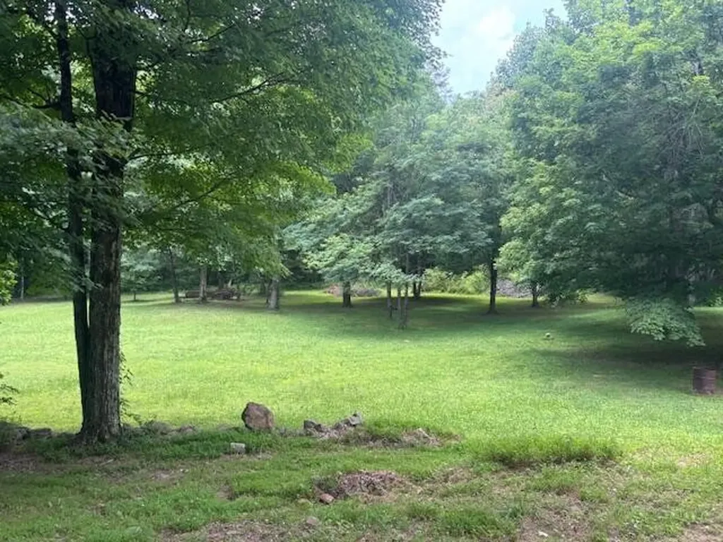 331 Briley Spring City TN 37381