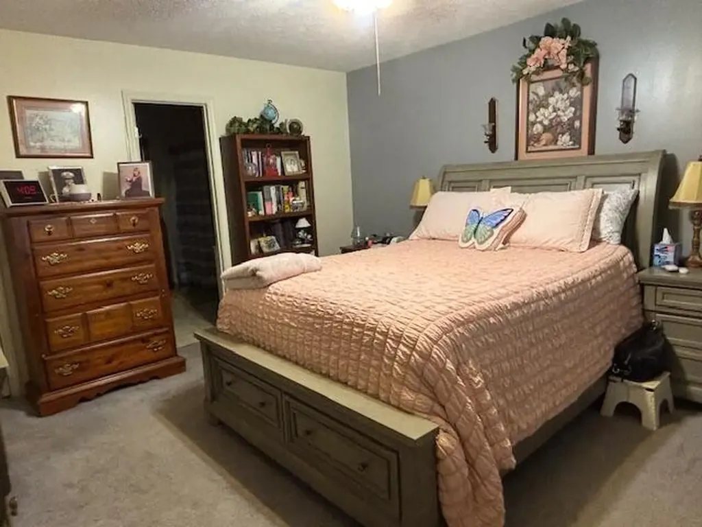 331 Briley Spring City TN 37381