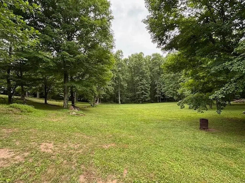 331 Briley Spring City TN 37381